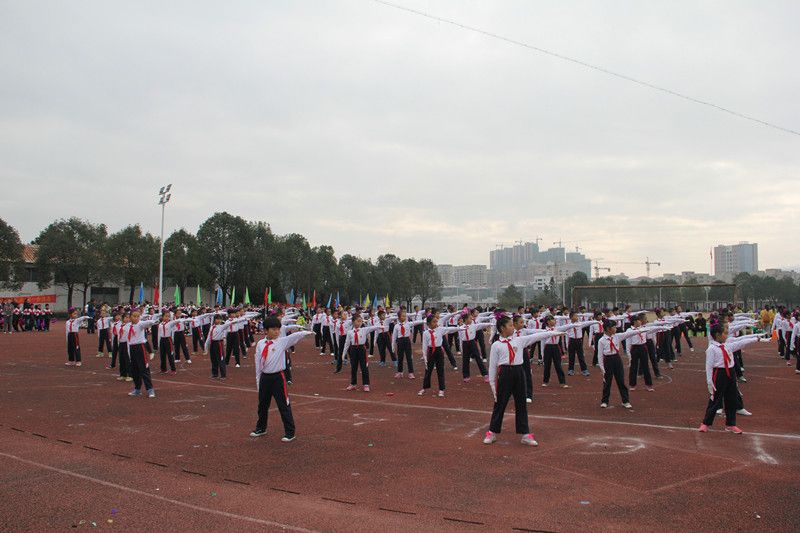 泰顺县育才小学举行第七届体育节 - 温州民办教育网